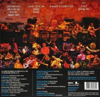 ALLMAN BROTHERS BAND - SELECTIONS FROM PLAY ALL NIGHT: LIVE AT THE BEACON THEATRE (2LP)