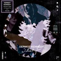 DERMOT KENNEDY - WITHOUT FEAR (PICTURE DISC LP)
