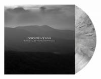 DOWNFALL OF GAIA - SUFFOCATING IN THE SWARM OF CRANES (CLEAR/BLACK MARBLED vinyl 2LP)