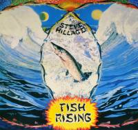 STEVE HILLAGE - FISH RISING (LP)