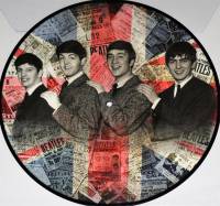 THE BEATLES - IN THE BEGINNING (PICTURE DISC LP)